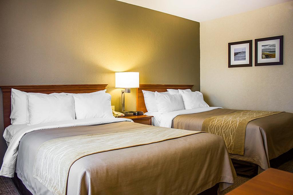 Comfort Inn Guilford Near I-95 المظهر الخارجي الصورة