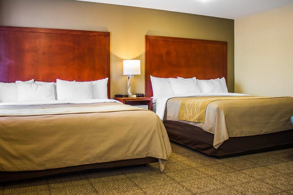 Comfort Inn Guilford Near I-95 المظهر الخارجي الصورة